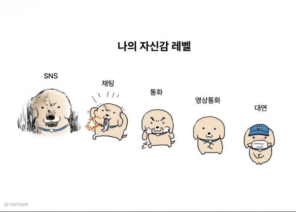 3033731668_EwXTlD7H_KakaoTalk_20260205_074730941_01.jpg
