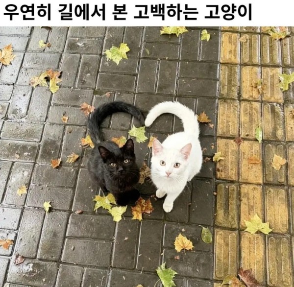 3033731668_NIOrTWf9_KakaoTalk_20260130_215811548.jpg