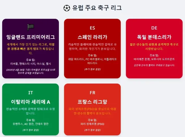 유럽 주요 축구 리그