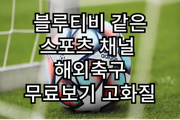 블루티비 같은 스포츠 채널 - 해외축구 무료보기 고화질
