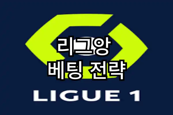 리그앙 실시간 중계 | 프랑스 축구의 전설적인 역사와 베팅 꿀팁