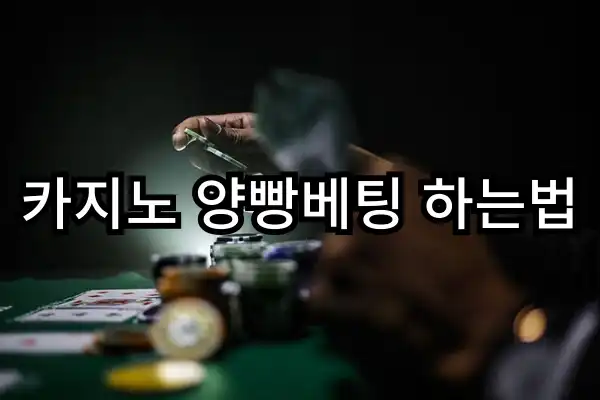 카지노 양빵베팅 하는법