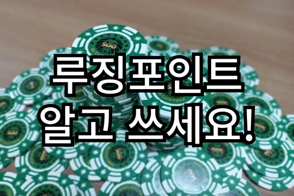 루징포인트 알고 쓰세요!
